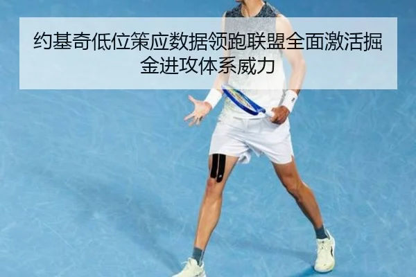 约基奇低位策应数据领跑联盟全面激活掘金进攻体系威力